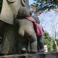 まこと (@m14sp) 's Twitter Profile Photo まこと (@m14sp) 's Twitter Profile Photo