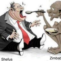 RISE UP ZIMBABWE!(@freezimnow20) 's Twitter Profile Photo