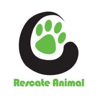Rescate Animal (@rescateanimal) 's Twitter Profile
