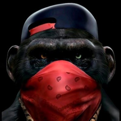 JrexxMr's profile picture. Here enjoy to NFT https://t.co/qTnjodrLOS