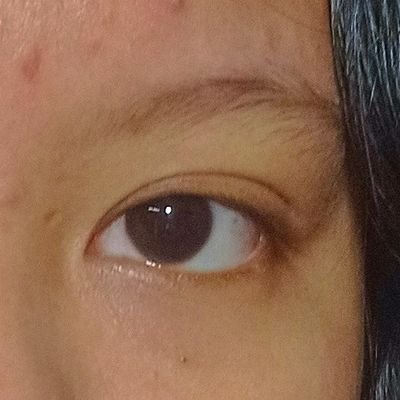 Layaさんのプロフィール画像