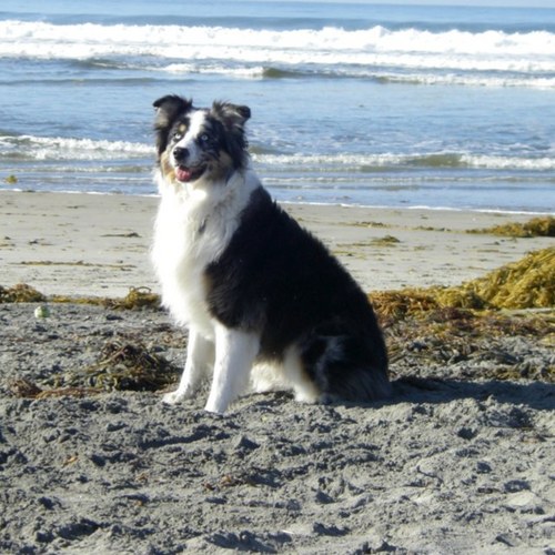 isthis_keitha's profile picture. 