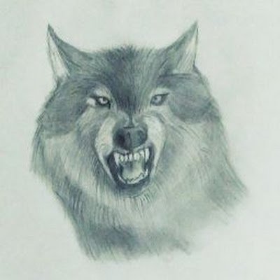 NischalBhatt7's profile picture. 