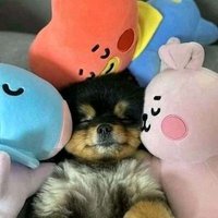 inca (@inca05520515) 's Twitter Profile