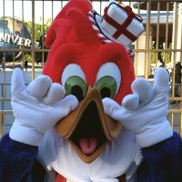 このはな咲くや USJ (@sakuyausj) 's Twitter Profile
