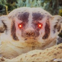 DEFCONOUT45 (@defconout45) 's Twitter Profile
