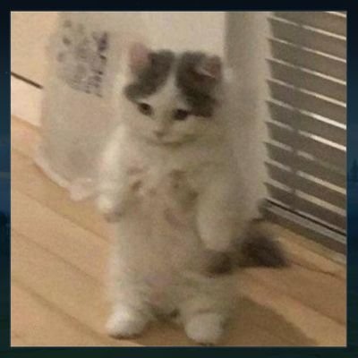 daniswara_damar's profile picture. Bruhhh