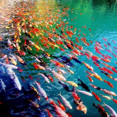 HPeachey3's profile picture. Taga AVR average enjoyer
P2E is the future