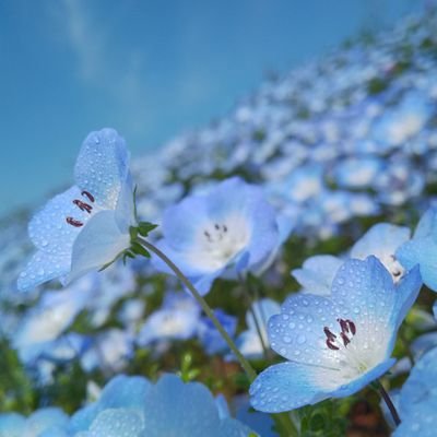キャベツ太郎は主食です
出会い系お金配り系はお帰り下さい
ガンダム(全般)&プラモ(ガンプラ)、アニメ、漫画、ゲーム(レトロ中心)系等その手のものが好きなおじさんです
いいねやリポストしまくりますが返信の「いいね」は不要です