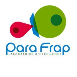 ParaFrap is a LabEx (Laboratory of Excellence) created by the French Ministry of #Research in 2012, bringing together 25 leading #Parasitology groups in France.