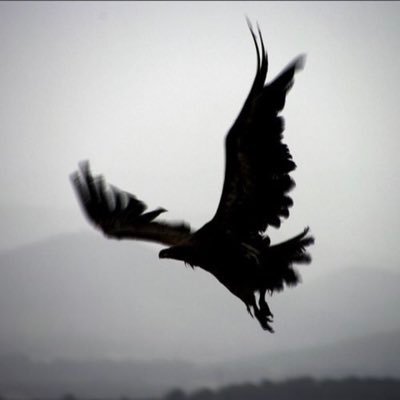 geceyeaysahitt's profile picture. Manisa  tek erkek