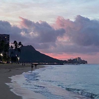 catalanopr's profile picture. 