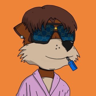 Kodjokouadio's profile picture. ɱ₳uЯicξ ₿uŁŁ₳ЯÐ