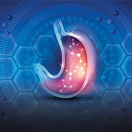 ICFD2022's profile picture. 7th International Conference on Food Digestion ​#ICFD2022
Tue, May 3, 2022, 3:00 PM - Thu, May 5, 2022, 6:00 PM CEST