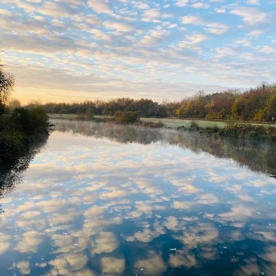 lucyrbailey's profile picture. Chicken keeper, runner, plant hoarder, Brentford FC supporter and home to a menagerie of furry four-legged rescues
