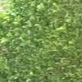 fakmkkke's profile picture. 