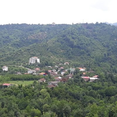 SyXexJSFc93M1Pq's profile picture. رجل يحب السلام  رجل لايحب العنف