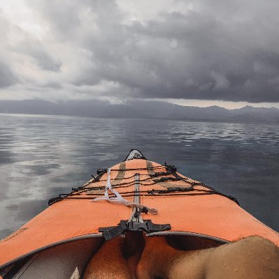 softwaregore3's profile picture. I exist on my own world