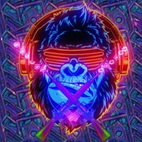 CryptoHoodNft (@cryptohoodnft_) 's Twitter Profile