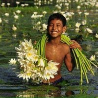 اليمن أغلى (@777776565y) 's Twitter Profile