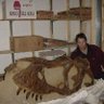 kingfossil's profile picture. Detrich's work has contributed significantly to our understanding of dinosaur anatomy, growth, and ecology, and one of the important figures in paleontology.
