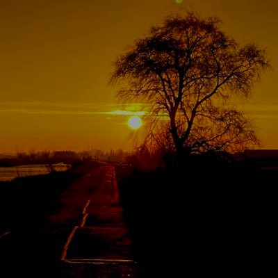 Zoetermeer - beheer - natuur - water - begraafplaatsen - crisisbeheersing