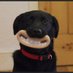 John Hamill (@john_hamill) Twitter profile photo John Hamill (@john_hamill) Twitter profile photo
