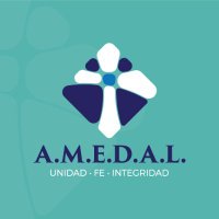 Amedal(@amedalinc) 's Twitter Profile Photo