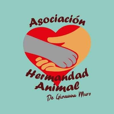 Este es mi proyecto de vida, el cual nace desde enero del 2020
Elrefugio se abrió viendo la necesidad de poder ayudar a más hermanos menores🐾🙏🏼♥️