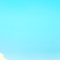 のし (@nemuikusaiumai) 's Twitter Profile