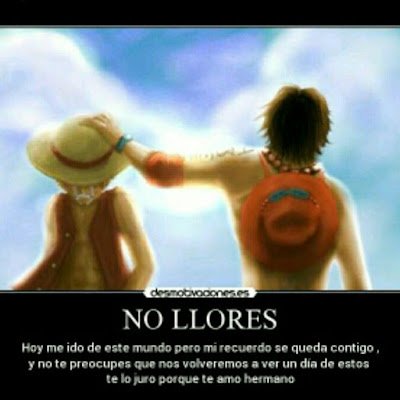 MonkeyD39360106's profile picture. 