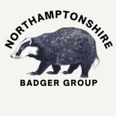 Actively involved in the welfare of Northamptonshire’s Badgers