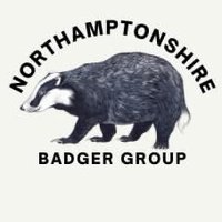 NorthamptonshireBadgers(@Northantsbadger) 's Twitter Profile Photo
