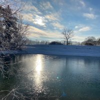 Mira B. (@miraberger4) 's Twitter Profile