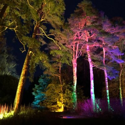 DanRobHall's profile picture. 