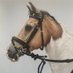 Jayne Passey (@snoocoons) Twitter profile photo Jayne Passey (@snoocoons) Twitter profile photo