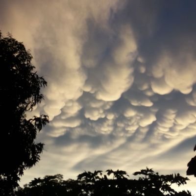 Yaazmi__'s profile picture. 27/2021❤️☀️🏡