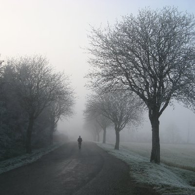 obiwan_benz's profile picture. 