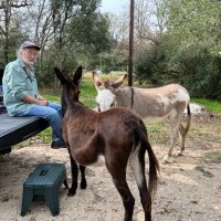 Bob Royce bob1951.bsky.social (@bobr1951) 's Twitter Profile