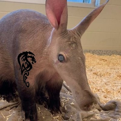 Aardvark_jungle's profile picture. I'm fucking old