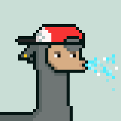 Debikke's profile picture. 