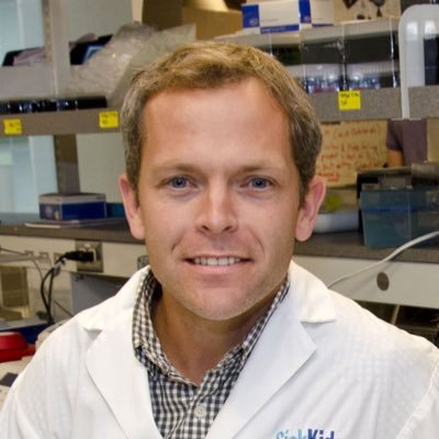 Roman Melnyk Profile