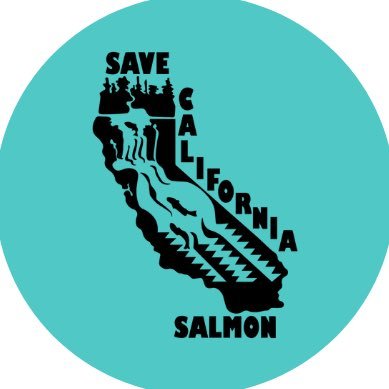 SCS is dedicated to restoring and protecting California salmon and rivers for future generations.