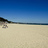 Twitter result for Post Office from sandbanks_beach