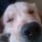 tp_falcon's profile image