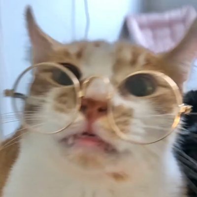 22 | Basically just here looking for NSFW content