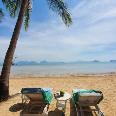 Sjassie1's profile picture. 