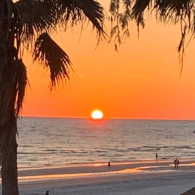 SierraCharlie21's profile picture. 