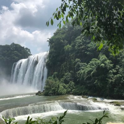 Say05475195's profile picture. 