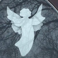 Dawn Peter (@antisunset) 's Twitter Profile